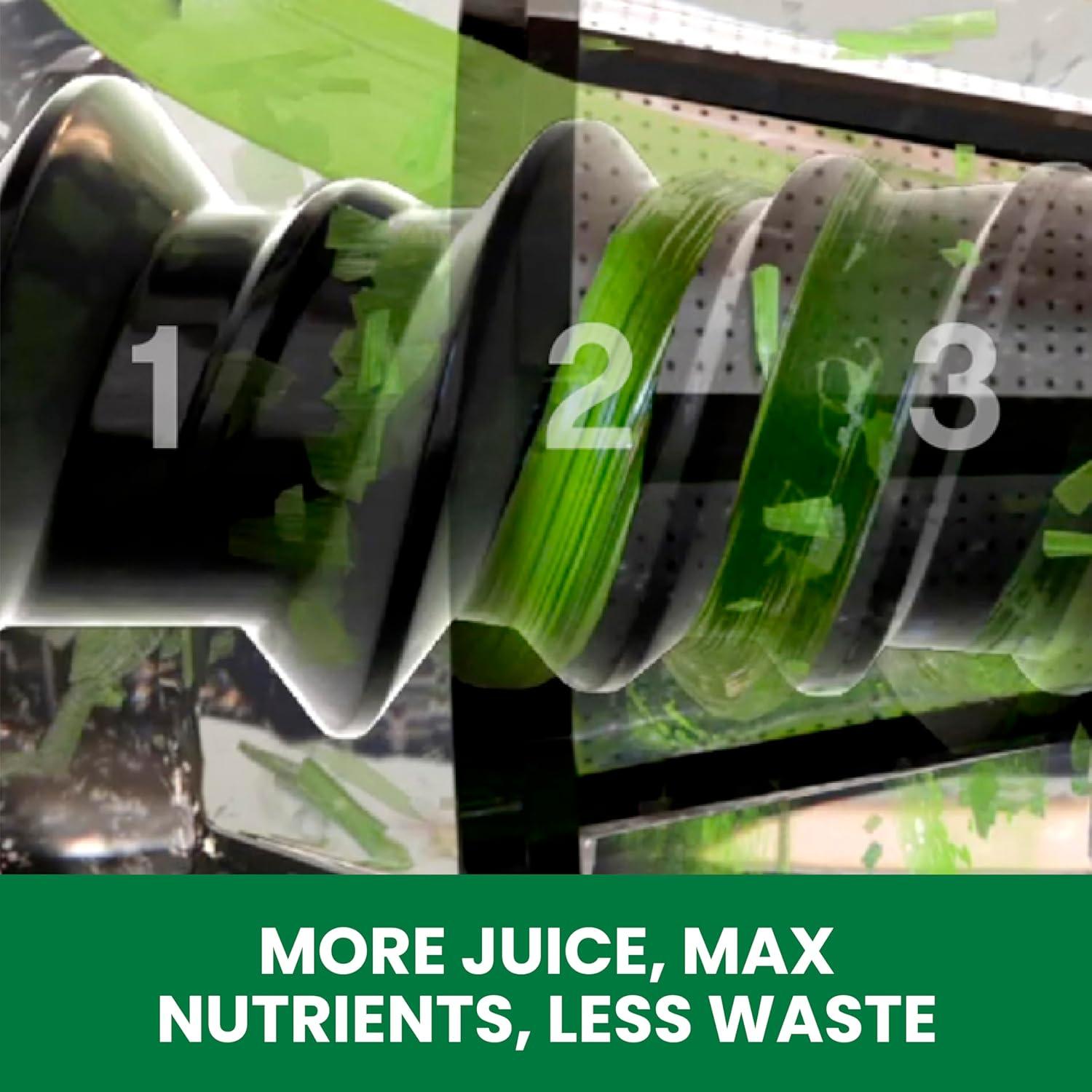 Exprimidor de Prensa Fría Omega J8006HDBLK 200W Negro