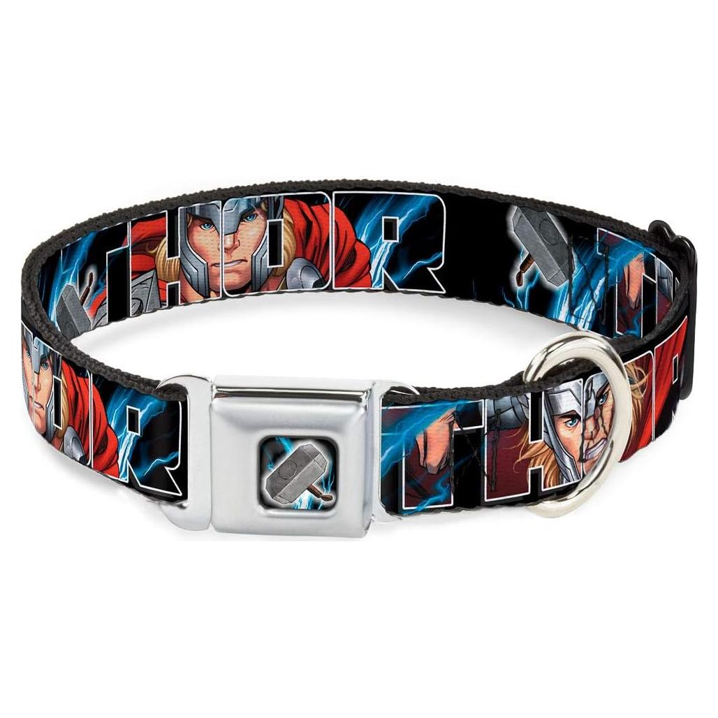 Collar de Perro Buckle-Down Thor 2.5cm Ancho 23-38cm Ajustable