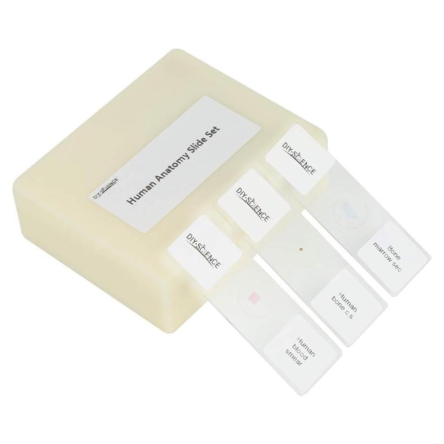 Juego de 17 Diapositivas de Microscopio Anatomía Humana DIY-SCIENCE
