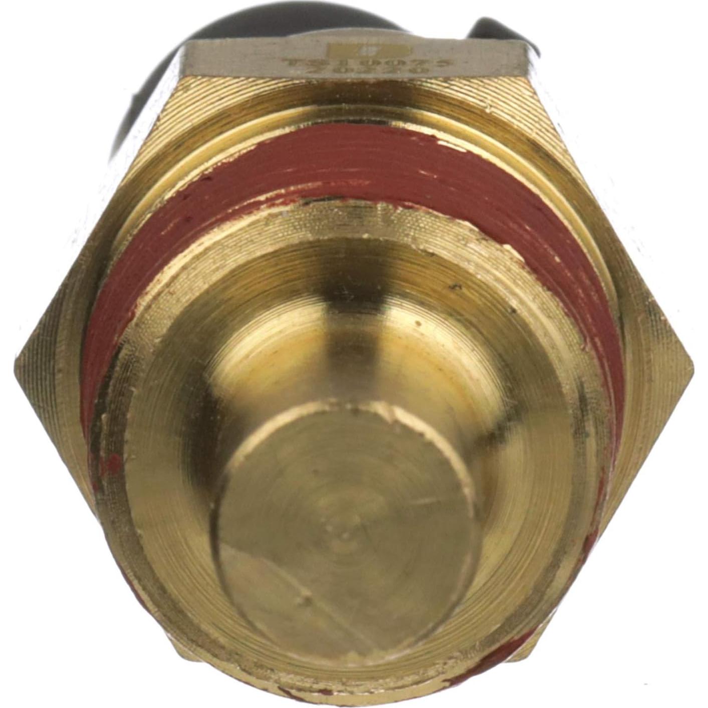 Sensor de Temperatura del Refrigerante Delphi TS10075 - 40°C a 257°C