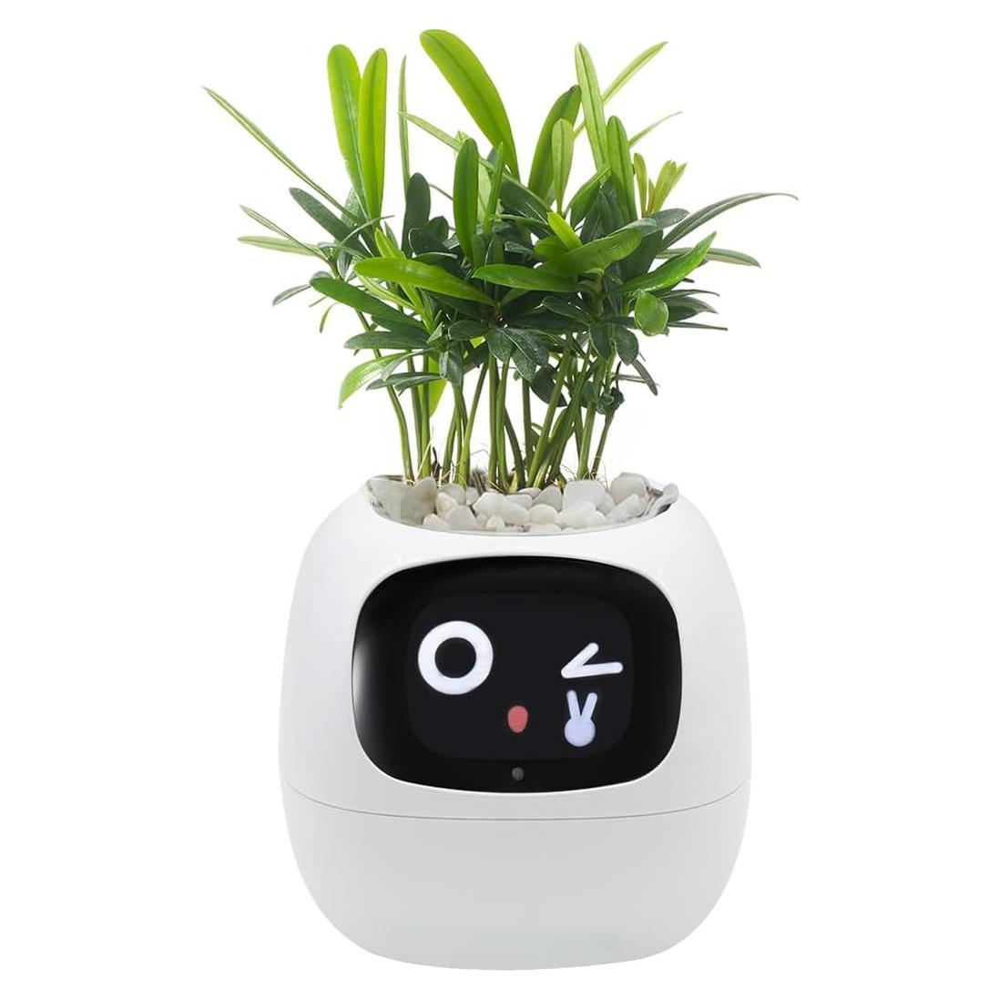 Maceta Inteligente Itigoitie con Pantalla LCD y Sensor Táctil