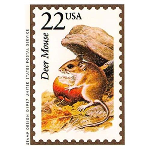 Tarjeta de comercio autografiada Ratón Ciervo 1991 Bon Air