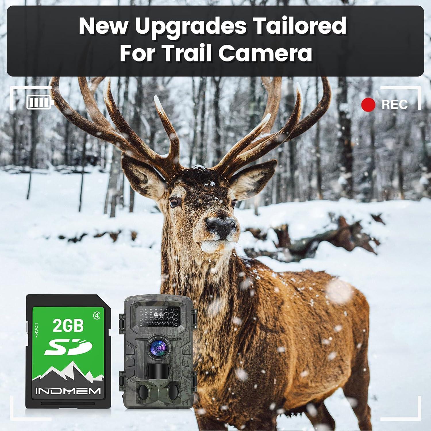 Tarjeta SD 2GB INDMEM Clase 4 para Cámara Digital