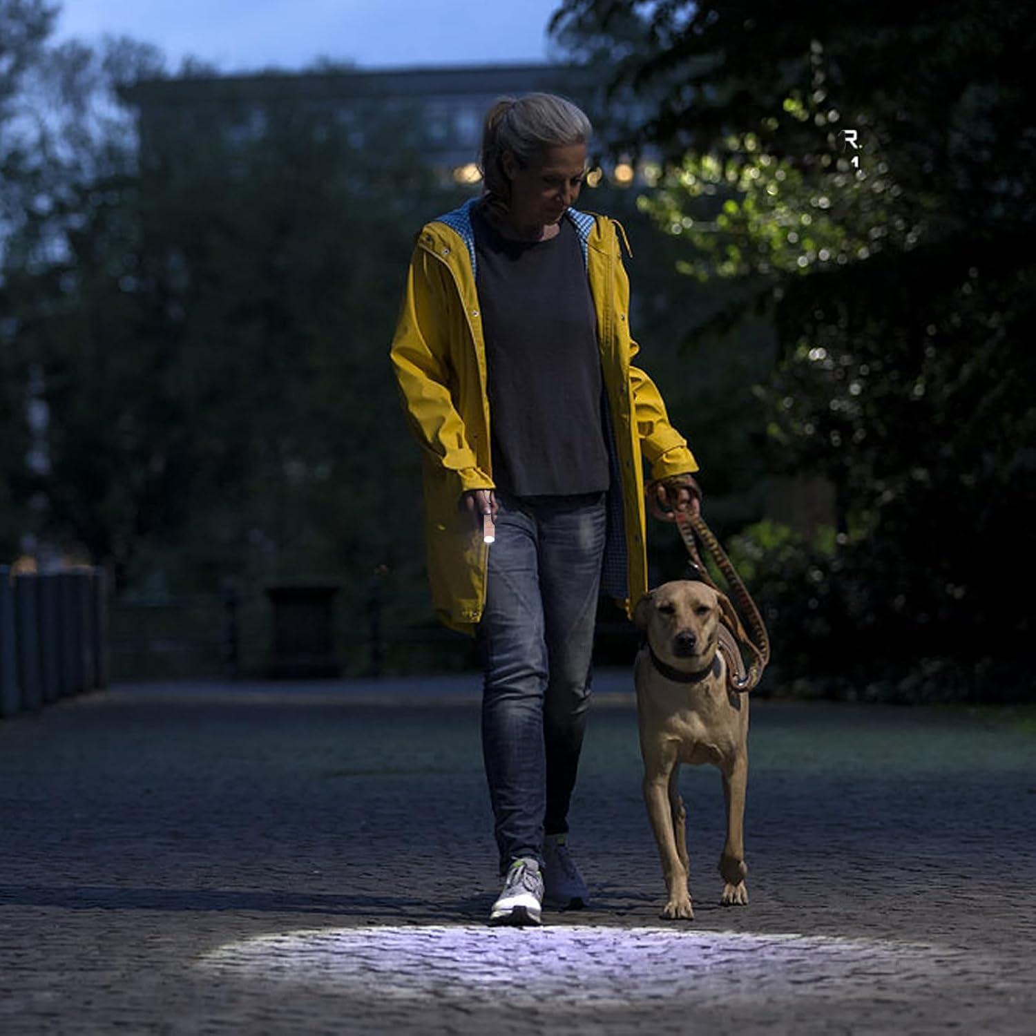 Paquete de 3 Linternas Recargables USB C Hilngav S19