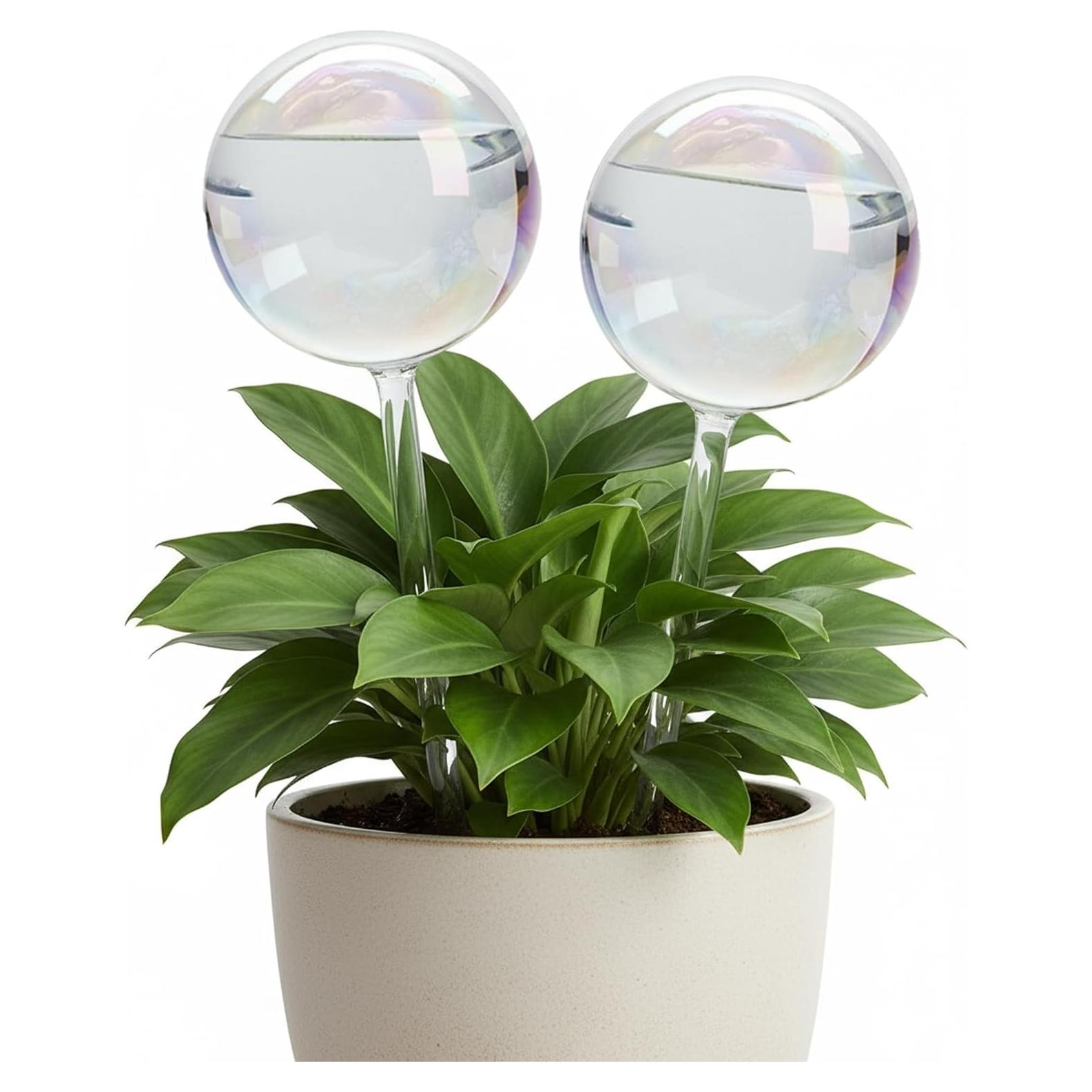 Esferas de Riego Automático ZhenD de Vidrio Iridiscente - 2 Piezas