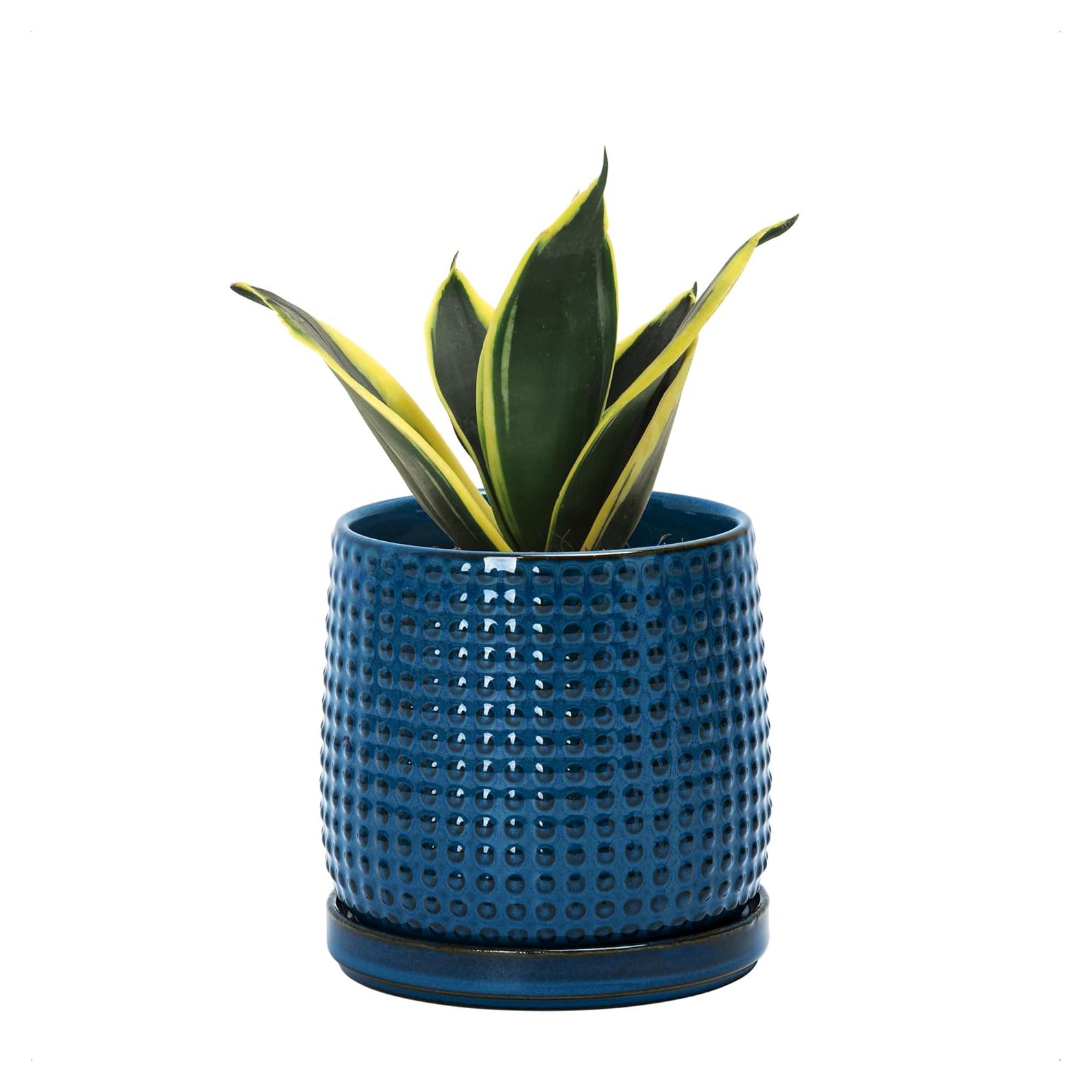 Maceta de Cerámica D'vine Dev 10.16 cm Azul Medianoche con Platillo