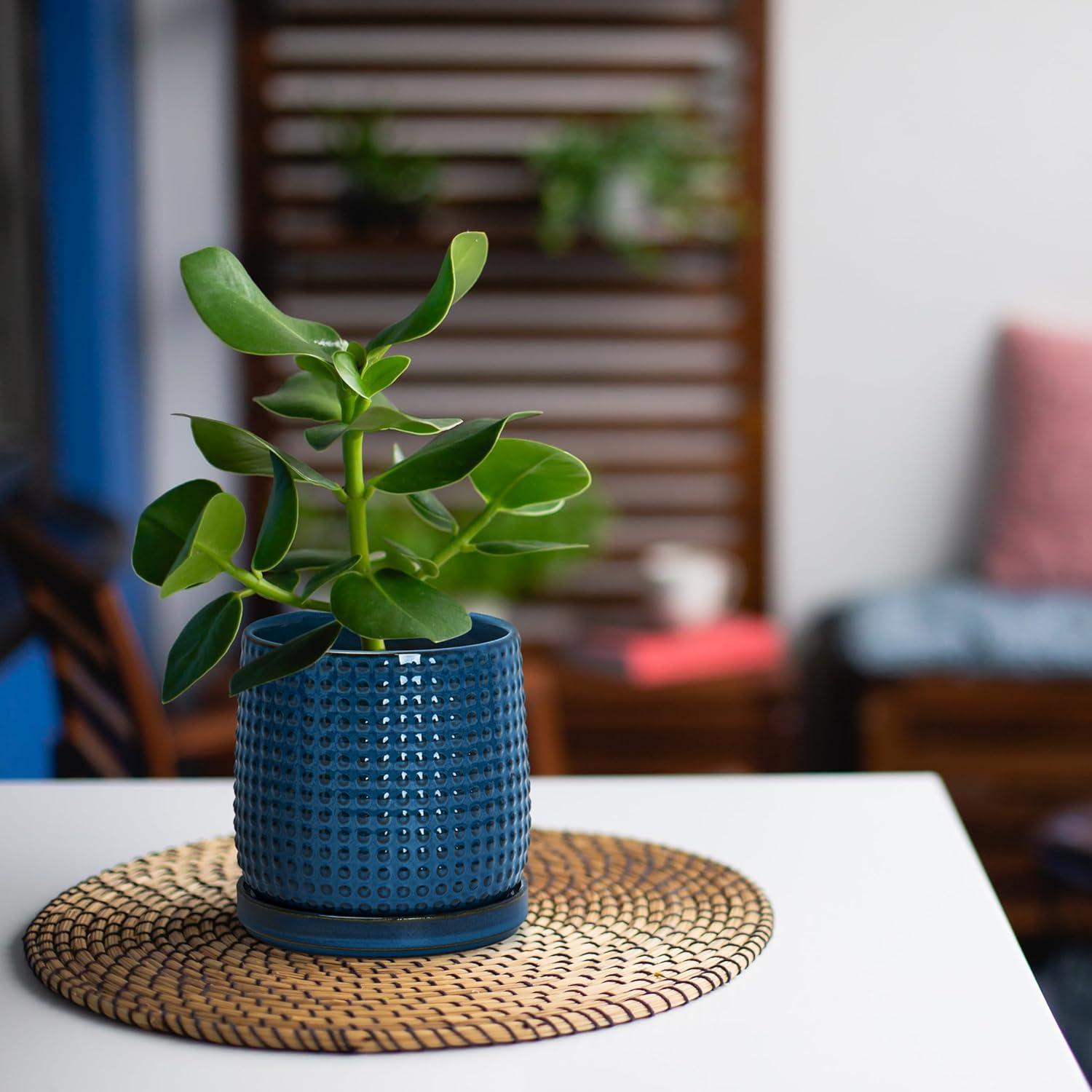 Maceta de Cerámica D'vine Dev 10.16 cm Azul Medianoche con Platillo