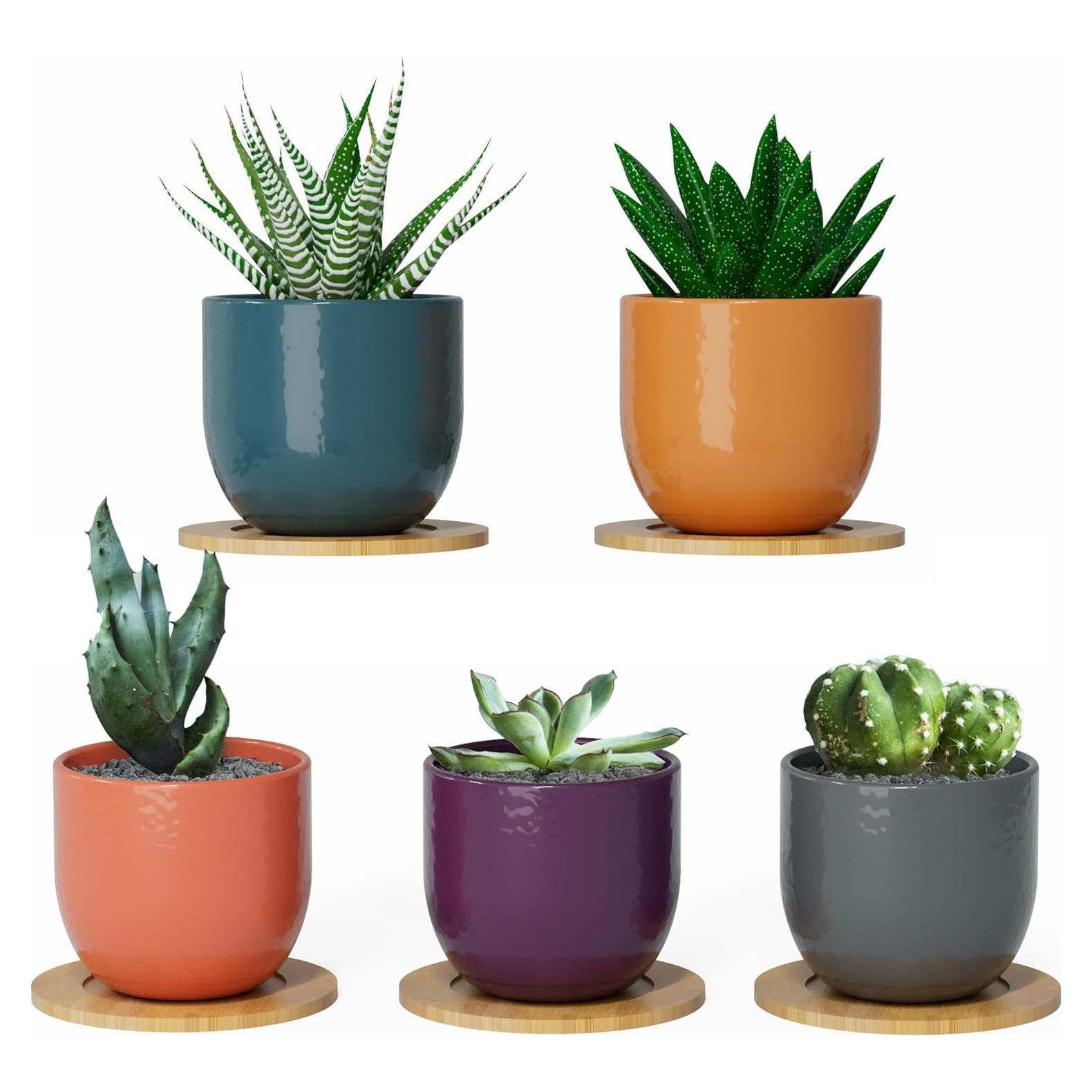 Set de 5 Macetas de Cerámica Bon Decor 6.35 cm con Posavasos