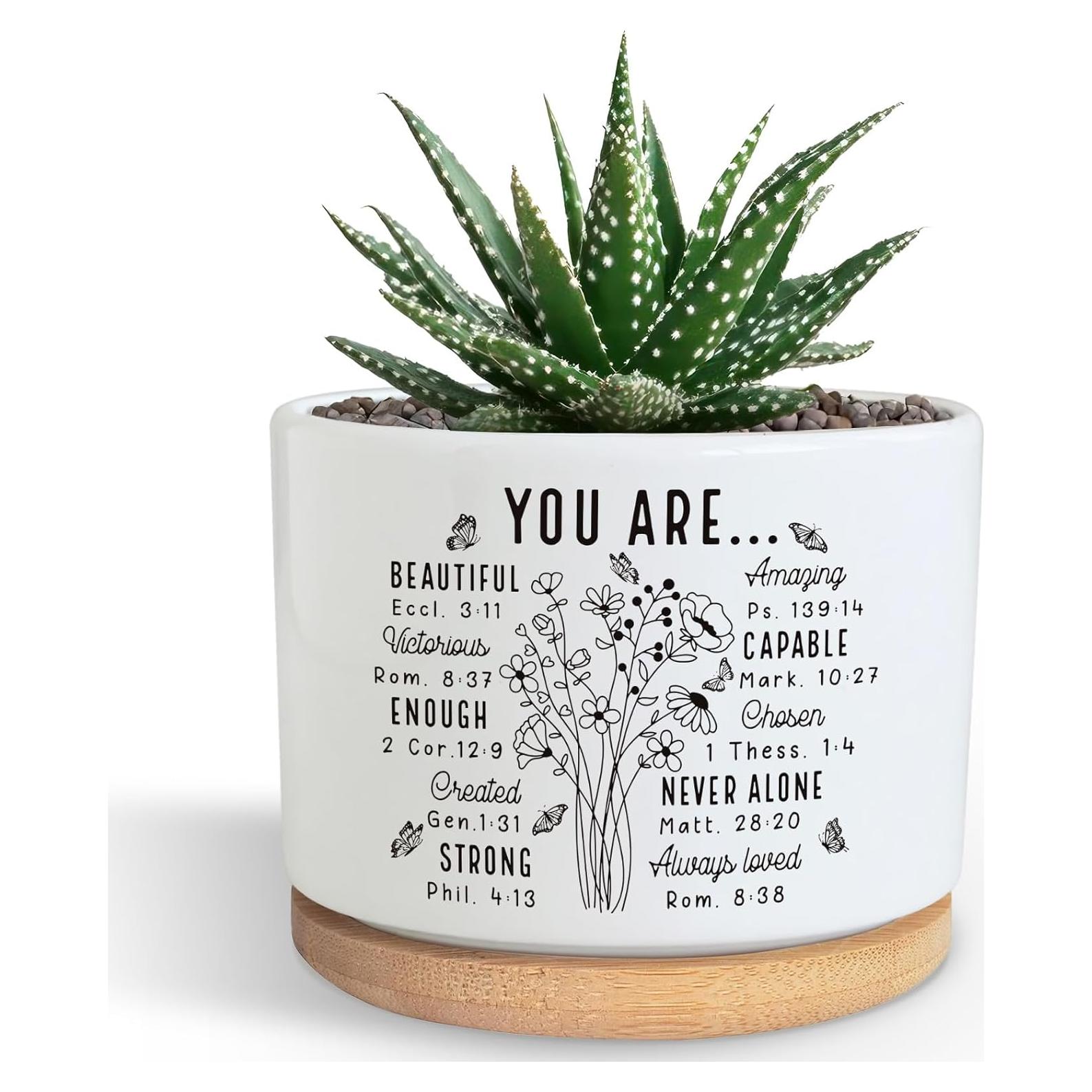 Maceta suculenta PZJIEAN de cerámica 8.9 cm con drenaje