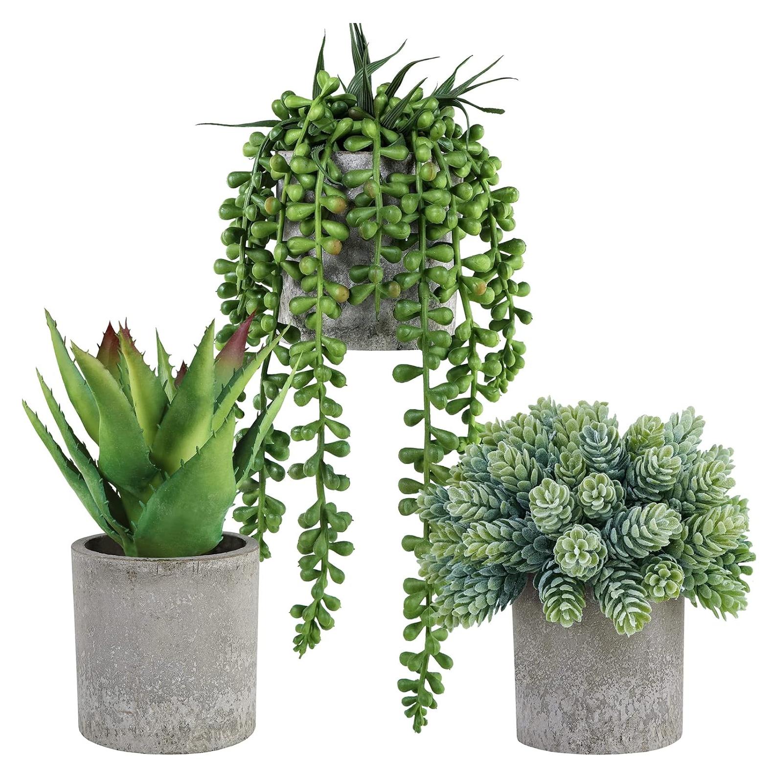 Conjunto de 3 Suculentas Artificiales Winlyn en Macetas
