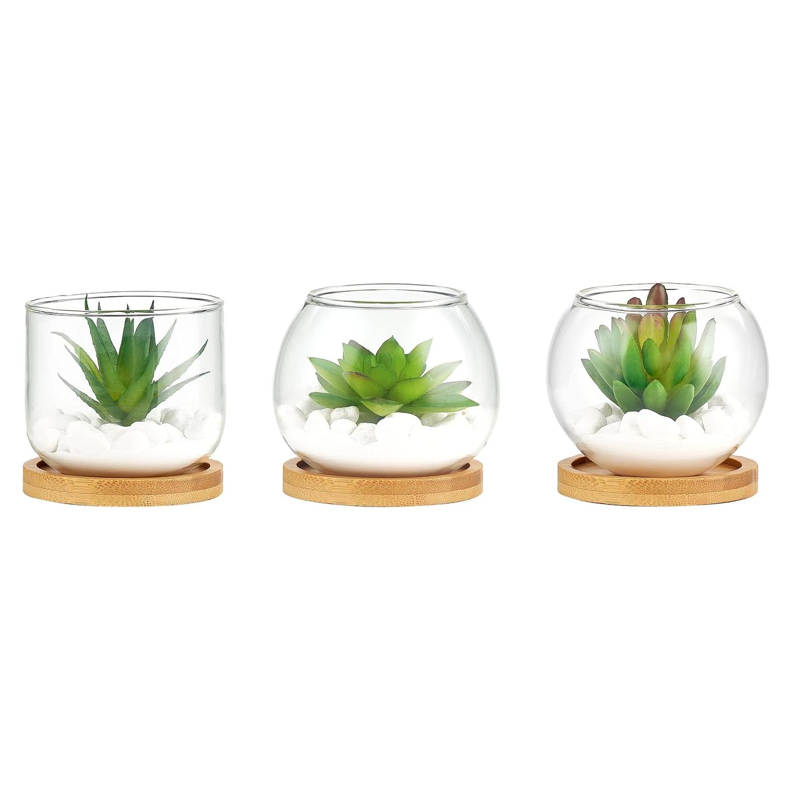 Plantas Suculentas Artificiales Mkono en Maceta de Vidrio - 3 Piezas