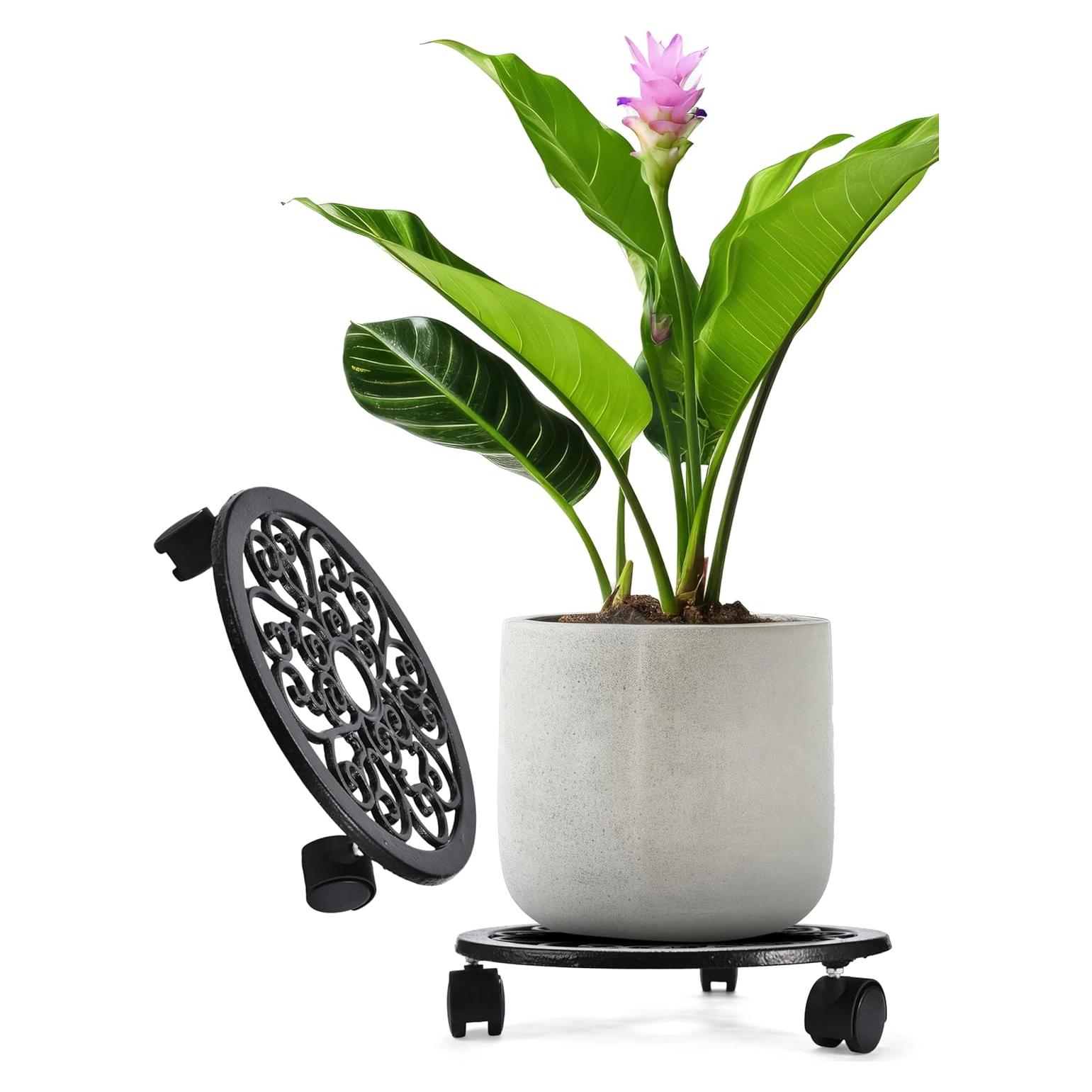 Soporte para Plantas con Ruedas 2WAYZ - Carro Rodante Negro