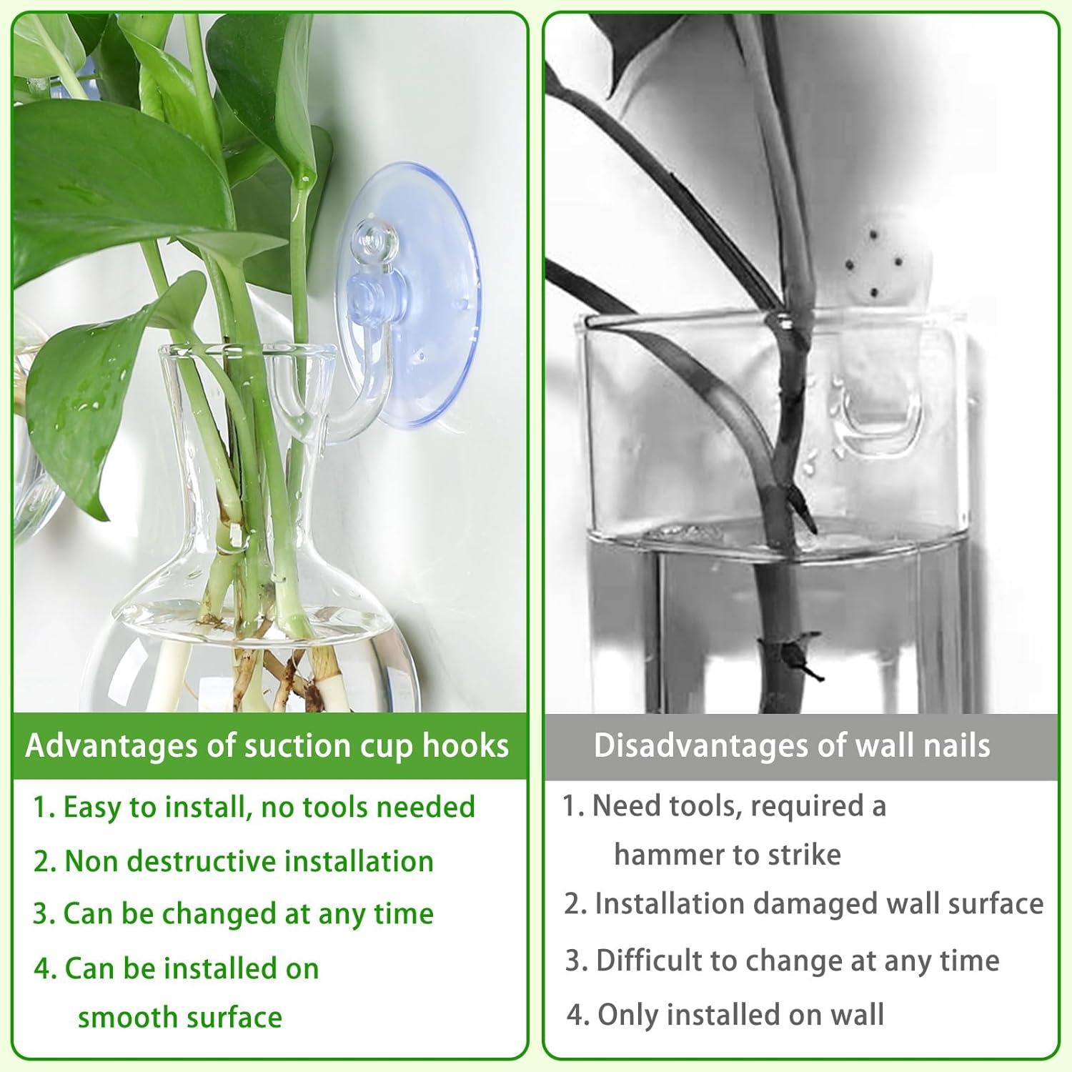 Estación de Propagación de Plantas 4 PCS Bunmery Vidrio