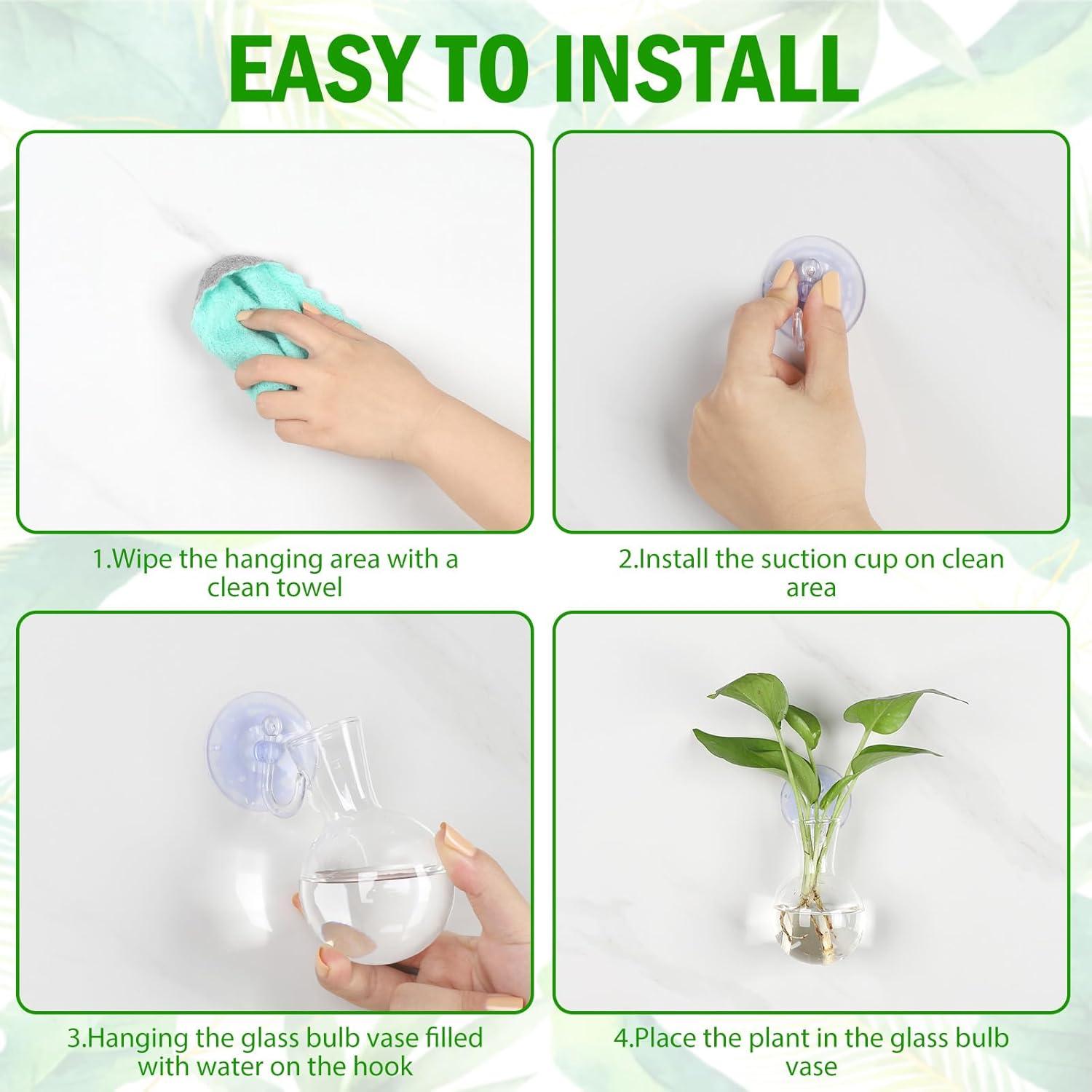 Estación de Propagación de Plantas 4 PCS Bunmery Vidrio