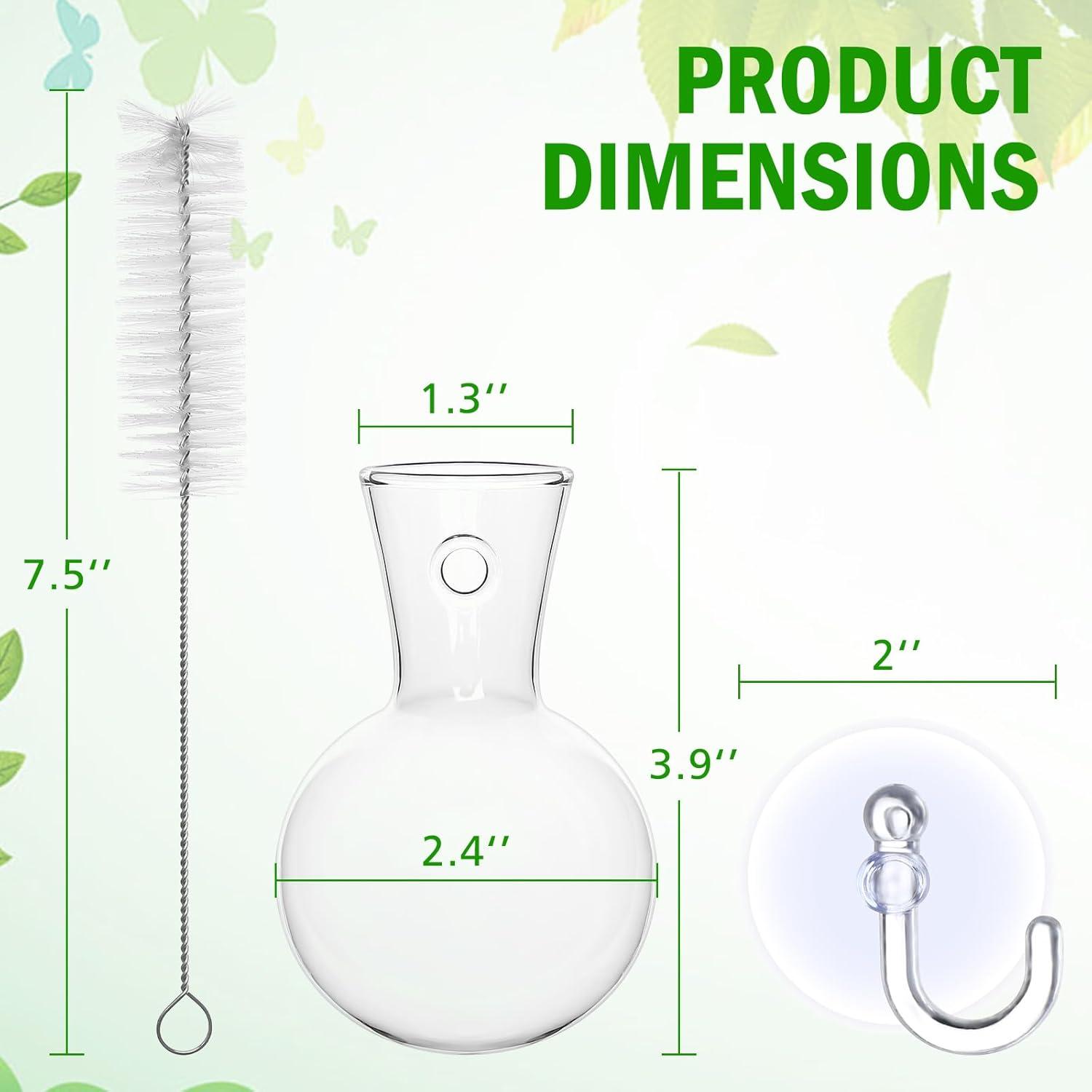 Estación de Propagación de Plantas 4 PCS Bunmery Vidrio