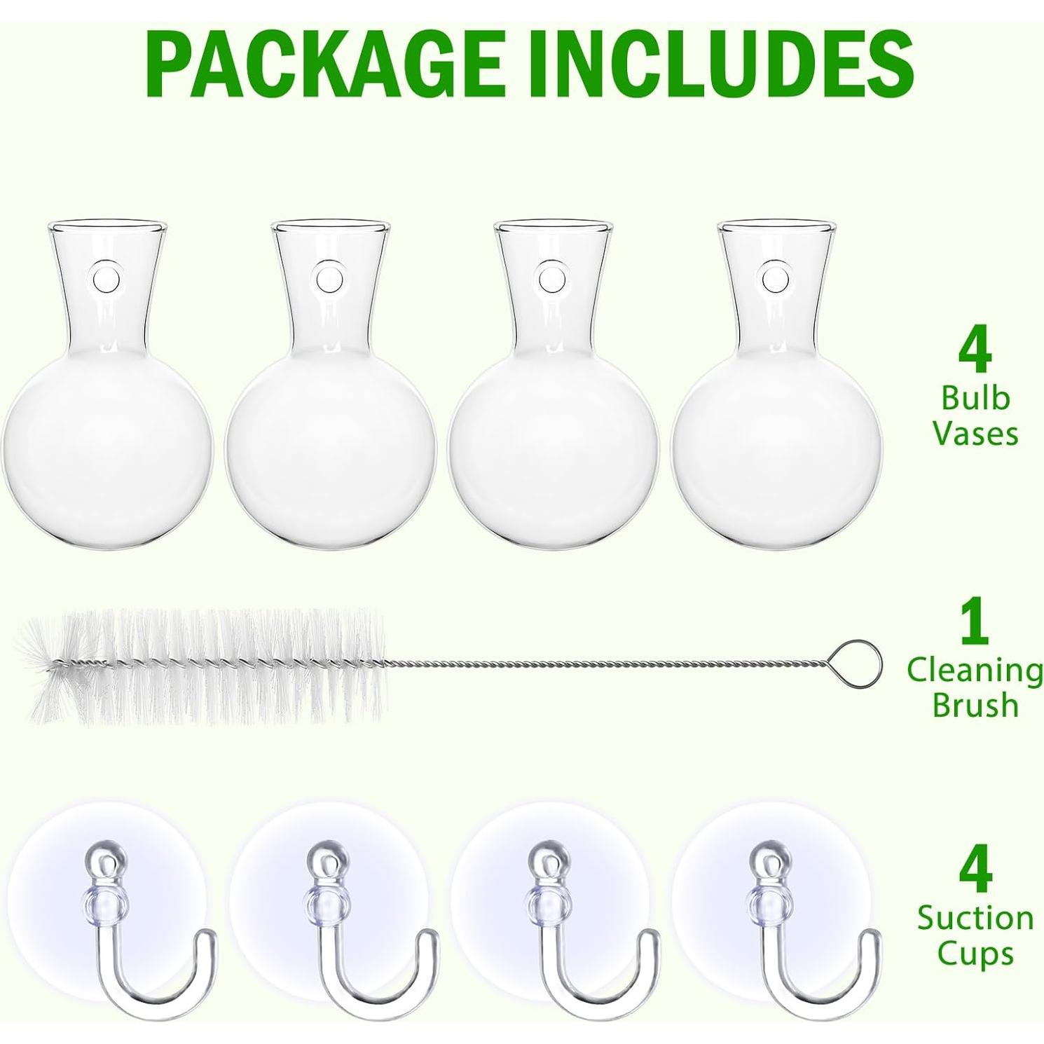 Estación de Propagación de Plantas 4 PCS Bunmery Vidrio