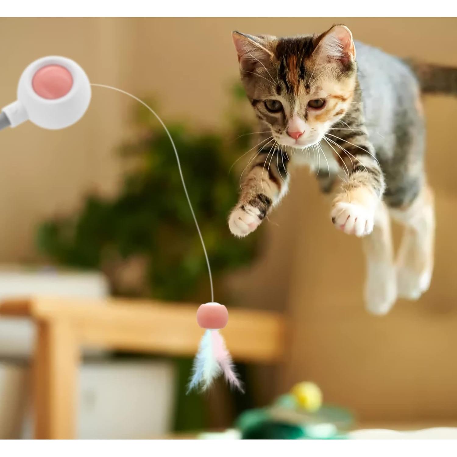 Varita Retráctil para Gatos Andiker con Plumas y Cabeza Reemplazable