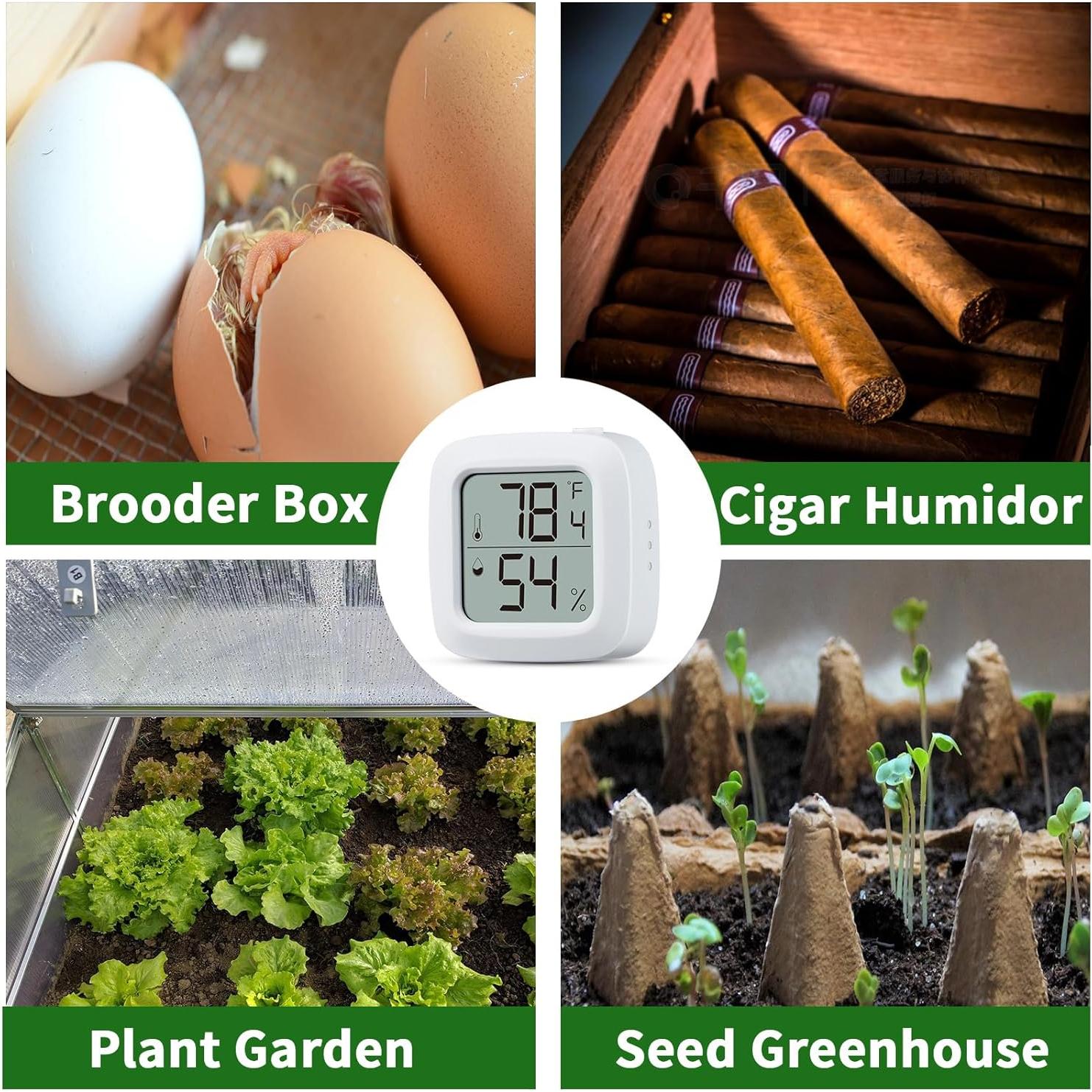 Termómetro e Higrómetro Digital Oasirep para Reptiles - Preciso y Rápido