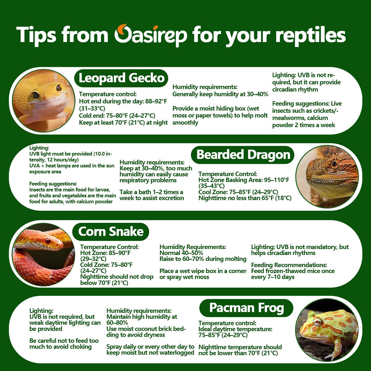 Termómetro e Higrómetro Digital Oasirep para Reptiles - Preciso y Rápido