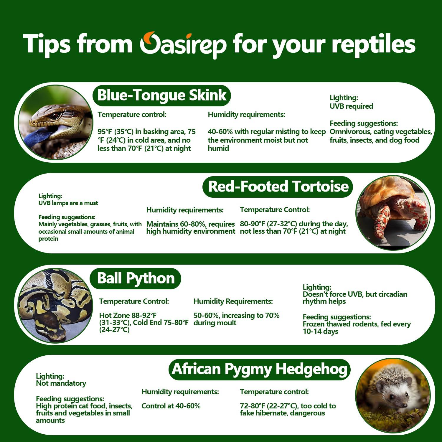 Termómetro e Higrómetro Digital Oasirep para Reptiles - Preciso y Rápido