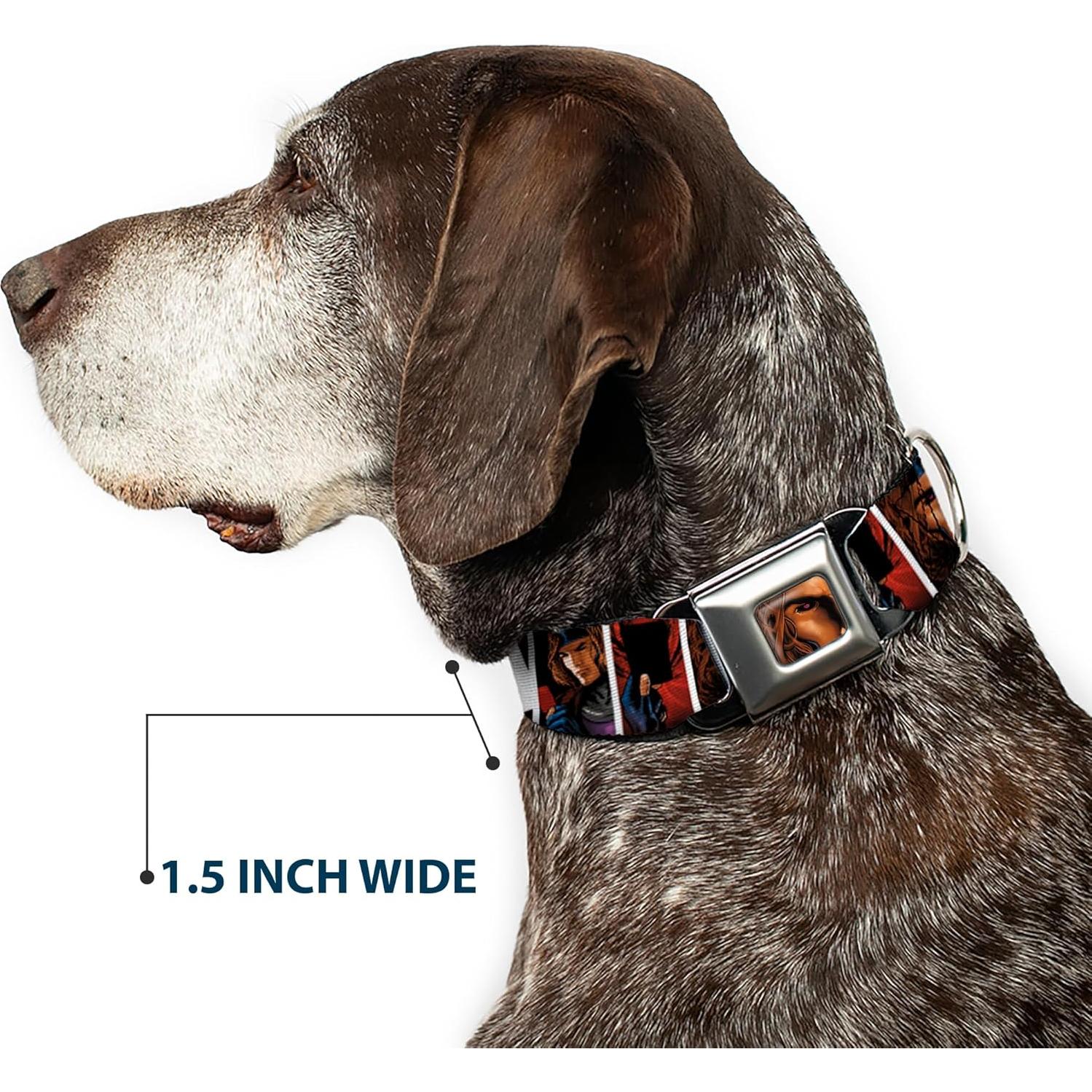 Collar para Perros Marvel Comics Buckle-Down 15-24 cm