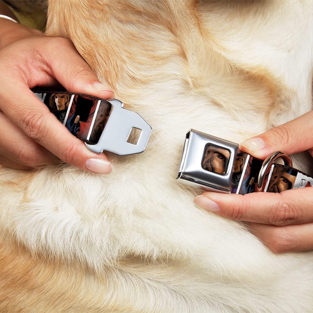 Collar para Perros Marvel Comics Buckle-Down 15-24 cm