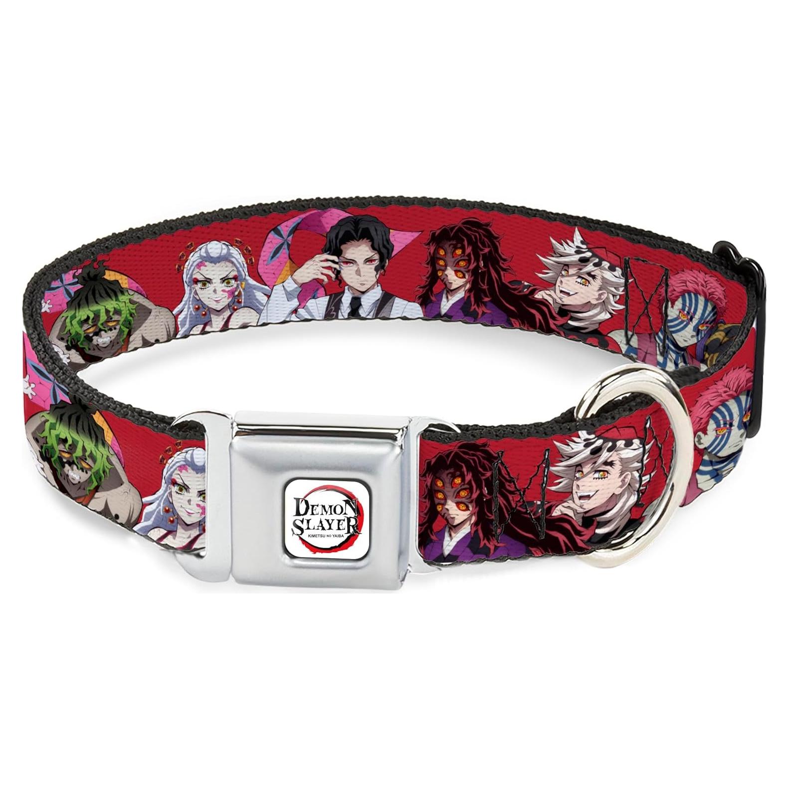 Collar para Perros Aniplex de 24.1 a 33 cm con Hebilla de Seguridad