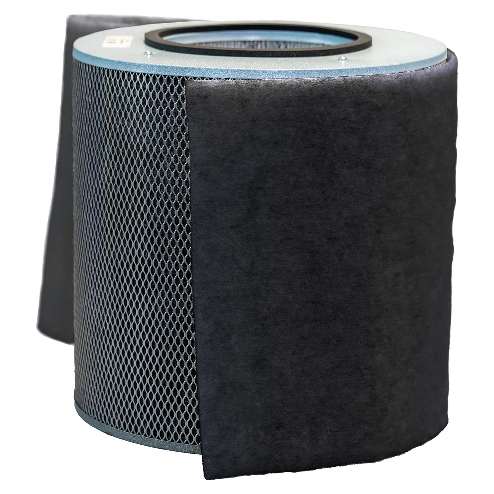 Filtro de Reemplazo Austin Air Healthmate FR400A, Negro