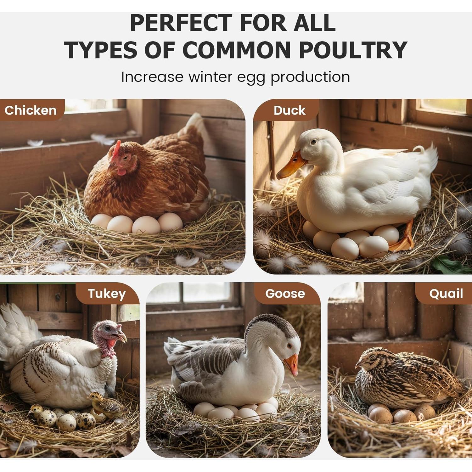 Extensor de Luz Diurna LED Neitra DSQ-01 para Gallinero