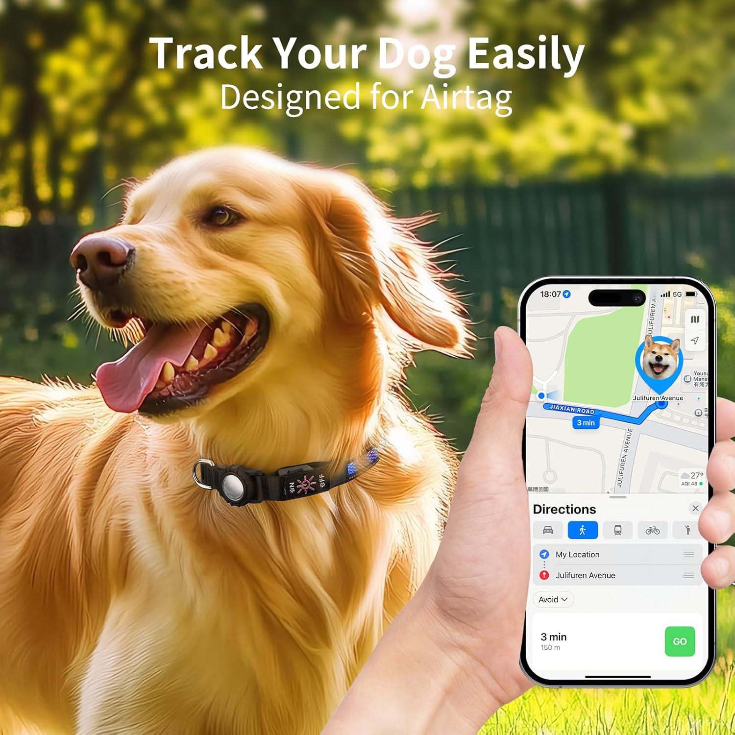 Collar para Perros Pepisk M Azul con Luz LED y Código QR