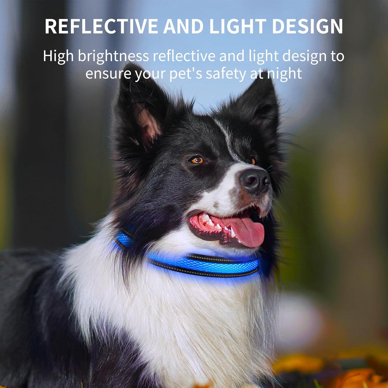 Collar para Perros Pepisk M Azul con Luz LED y Código QR