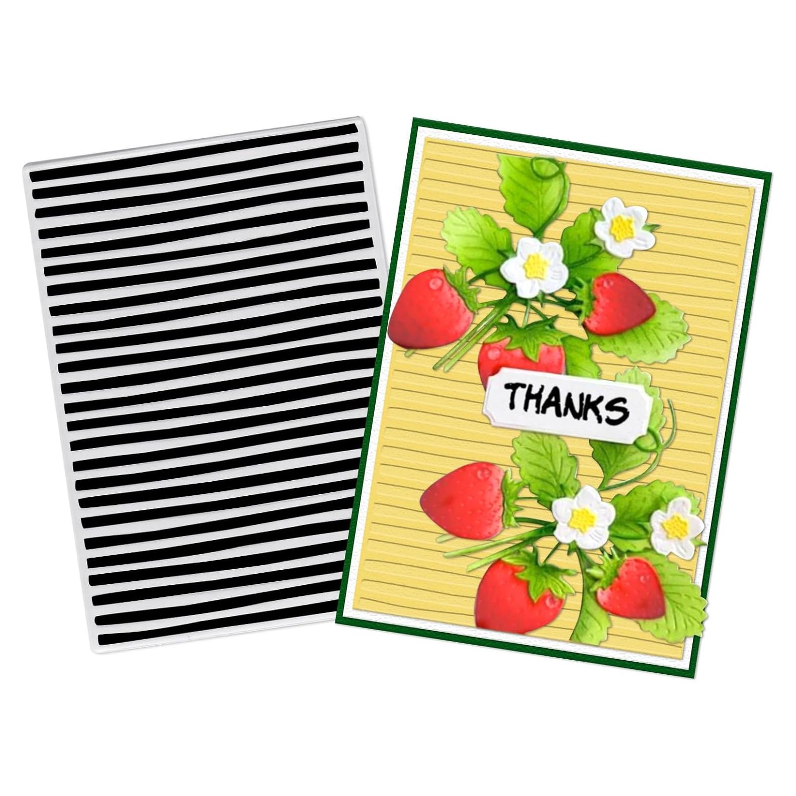 Carpeta de Embossing Plástico LANGFON 7x10 cm Rayas Horizontales