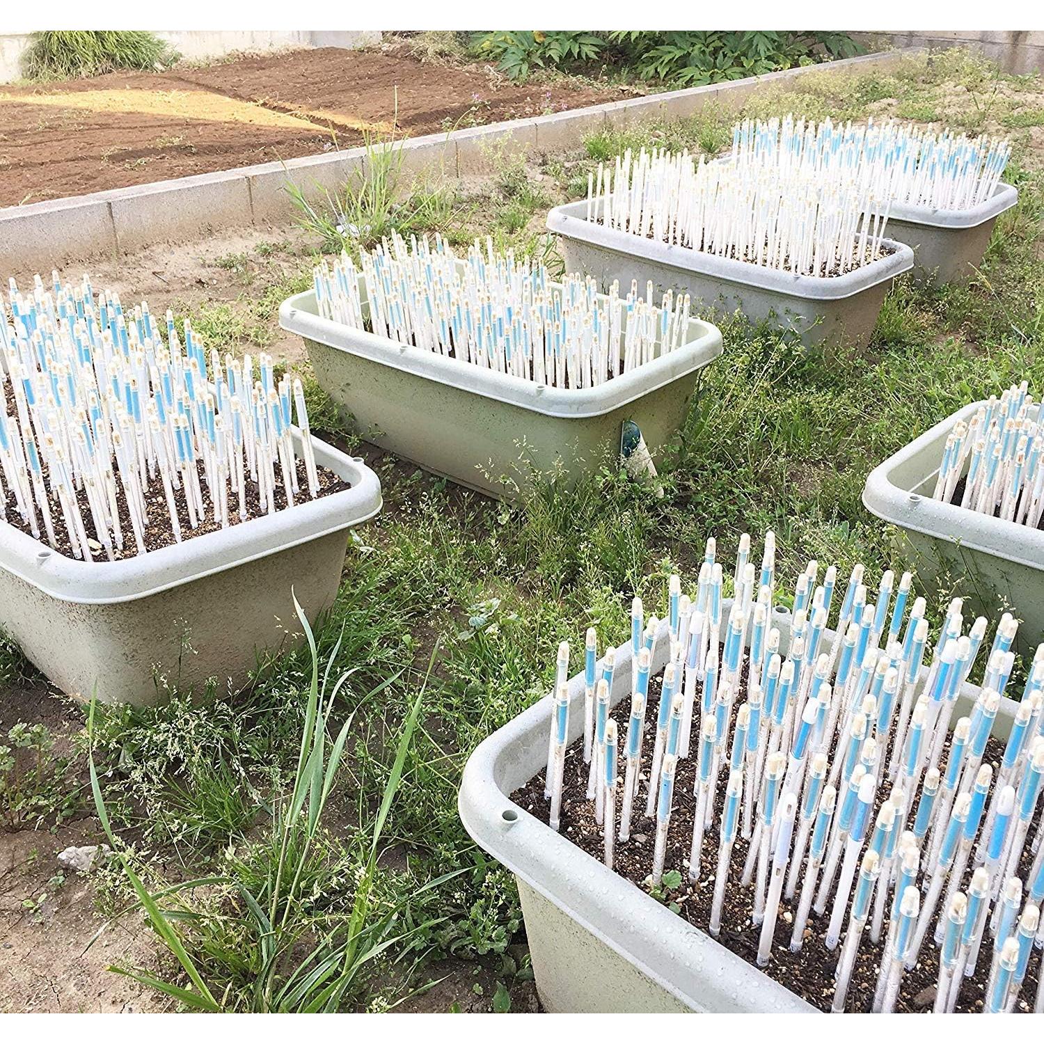 Varillas de Reemplazo Sustee para Sensor de Humedad - Pequeñas