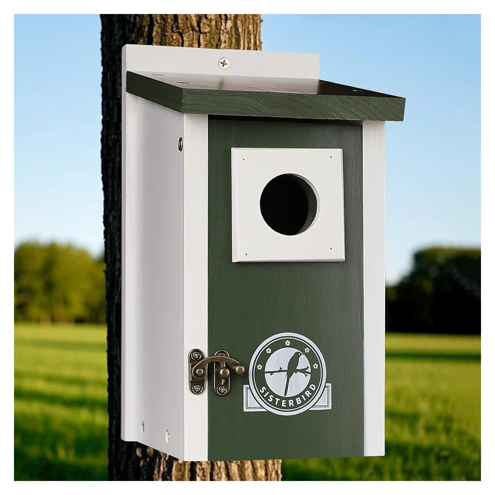 Casa para Aves SISTERBIRD Verde Oscuro 27cm Madera Exterior