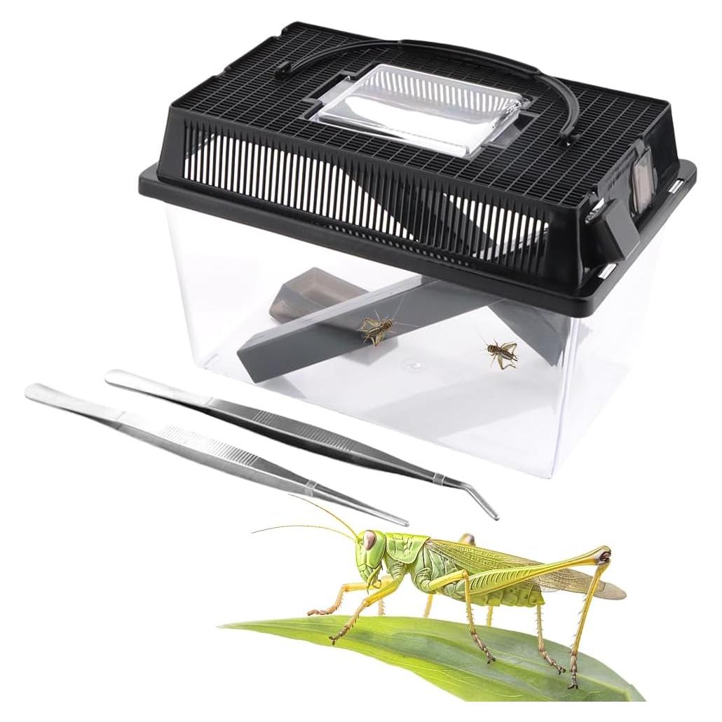 Criador de Grillos DQITJ con 2 Tubos y 2 Pinzas Inoxidable