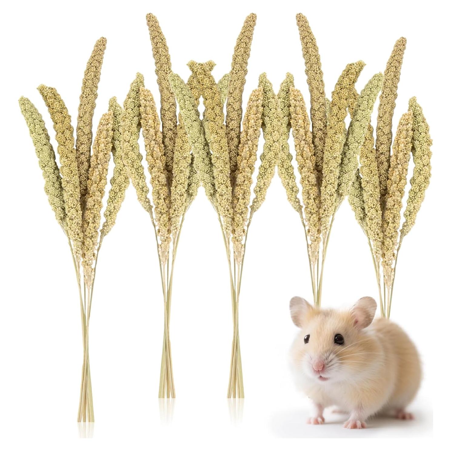 Rociadores de Mijo Natural para Hámster Sukh - 30 Piezas