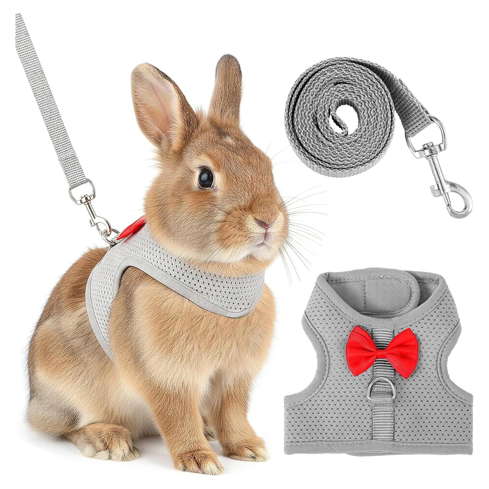 Conjunto Arnés y Correa para Conejo XLIUAX Gris M