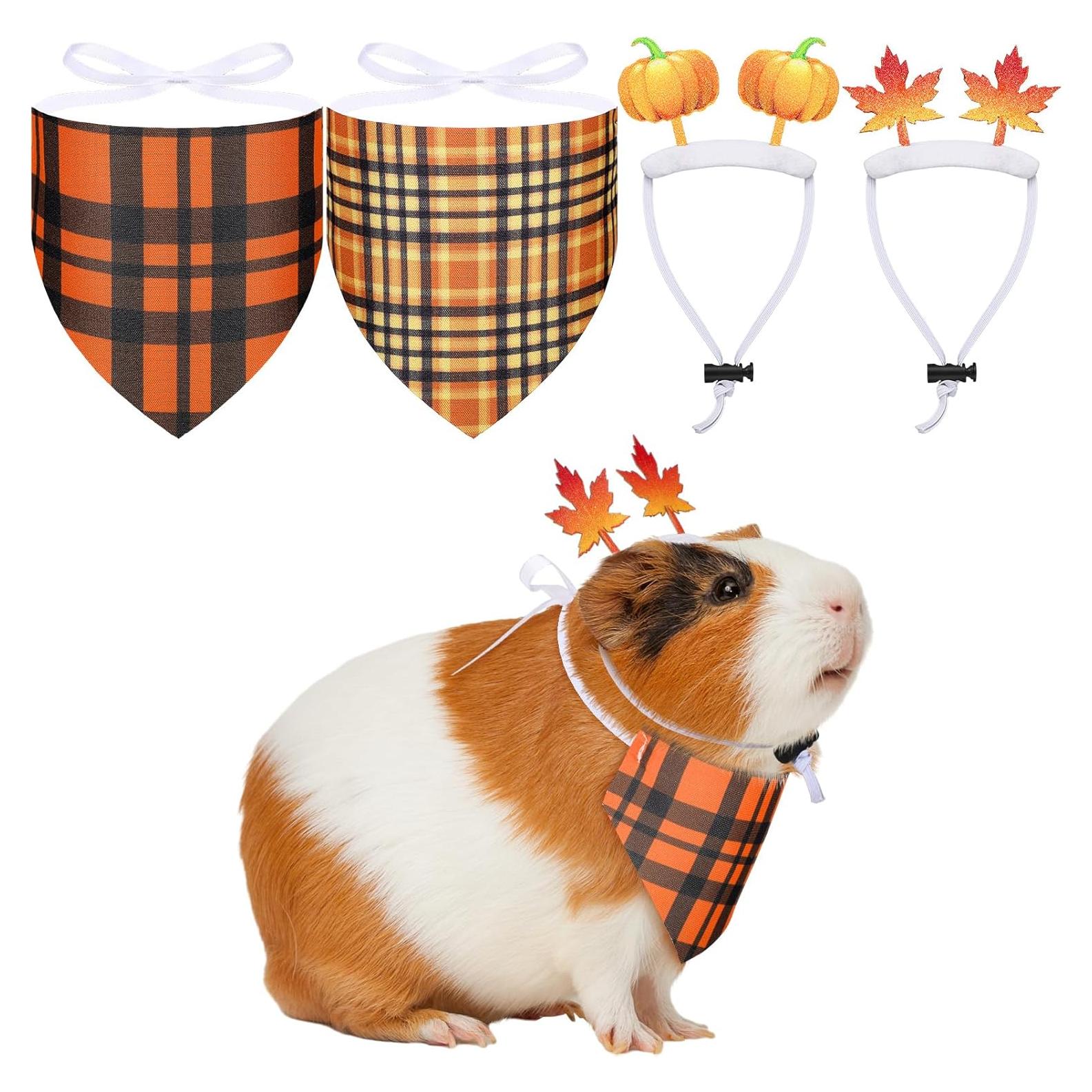 2 Conjuntos de Disfraces de Cobaya Otoñales Jamntower S