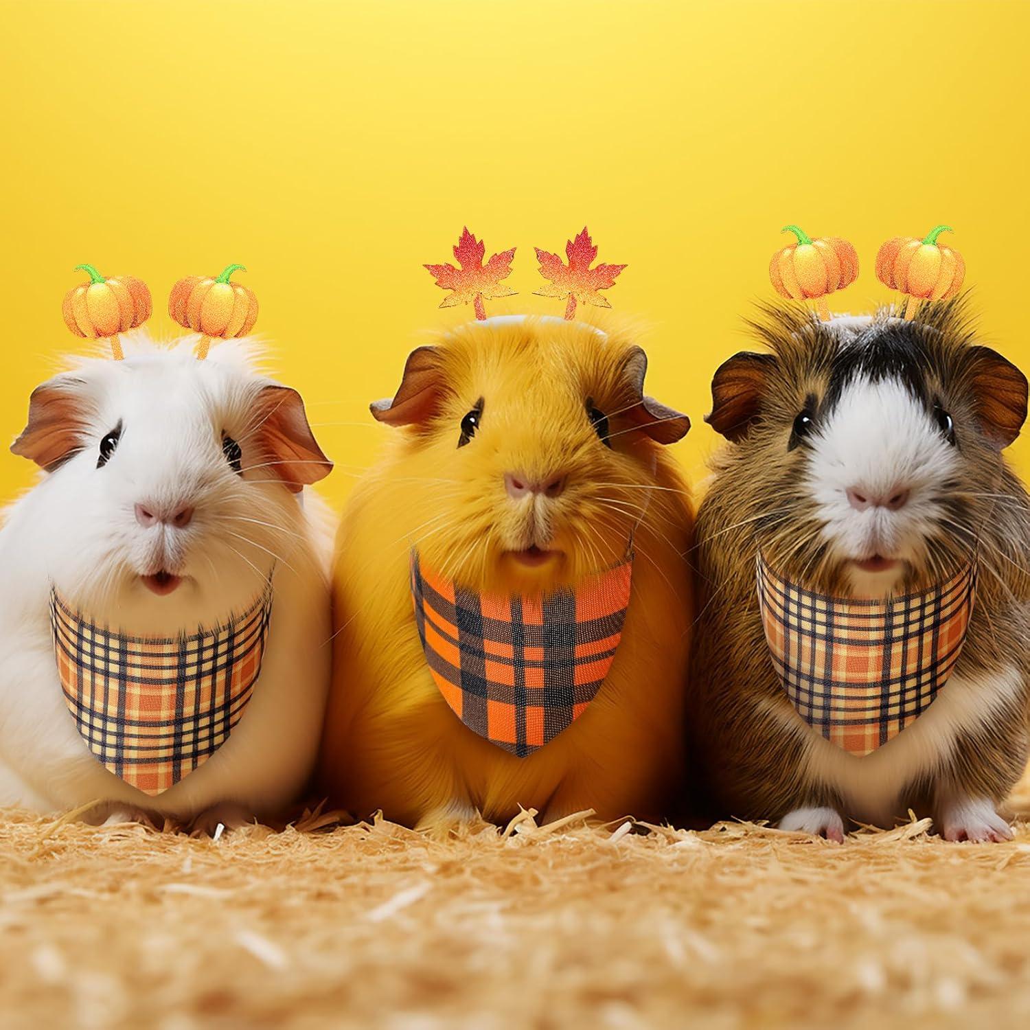 2 Conjuntos de Disfraces de Cobaya Otoñales Jamntower S
