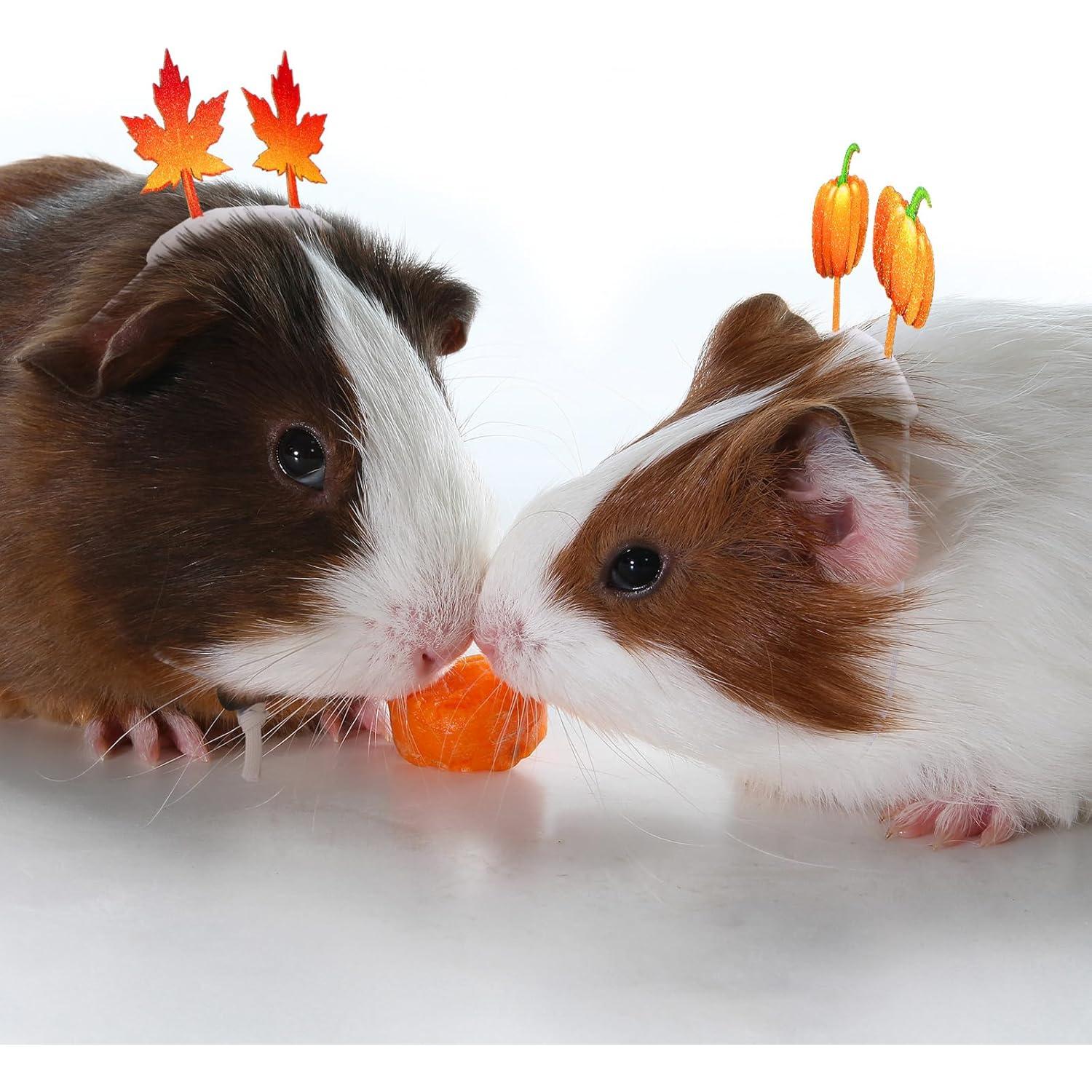 2 Conjuntos de Disfraces de Cobaya Otoñales Jamntower S