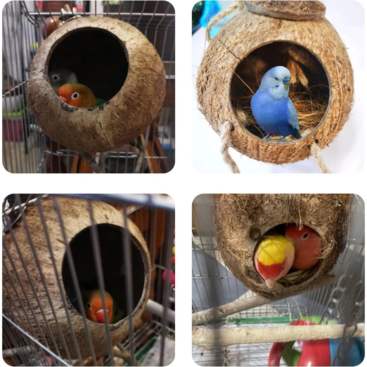 Casa de Pájaro Colgante Tfwadmx de Coco Natural con Escalera