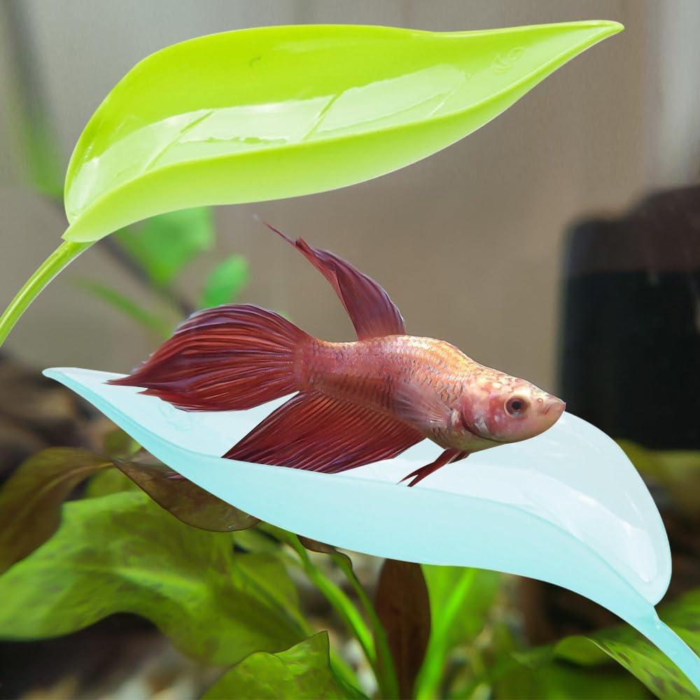 Hamaca de Hoja Betta DONGKER 3 PCS para Acuario Reptiles