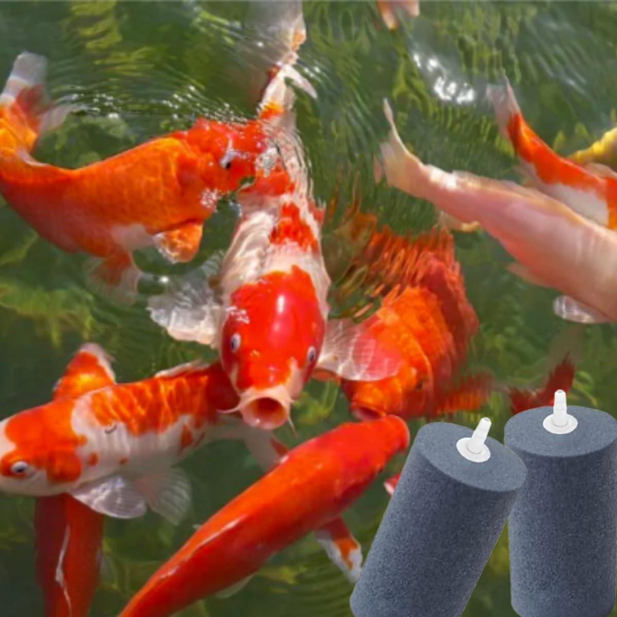 Piedra de Aire Hidropónica COOMATEC 5.08 cm x 10.16 cm