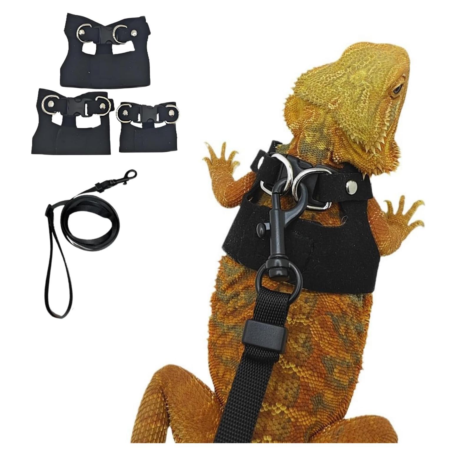 Conjunto Arnés y Correa de Cuero Suave FORZENA Negro S M L