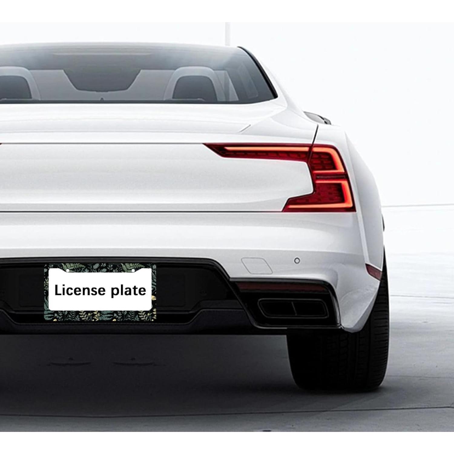 Marco de Placa de Licencia Aluminio GODARM 30.9x16 cm Bosque de Helechos