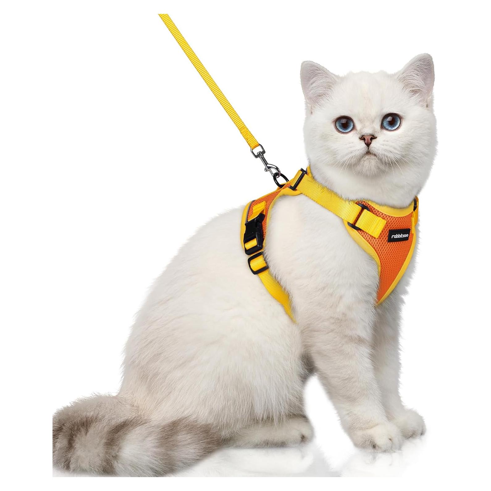Arnés y Correa para Gatos Rabbitgoo XS Naranja y Amarillo