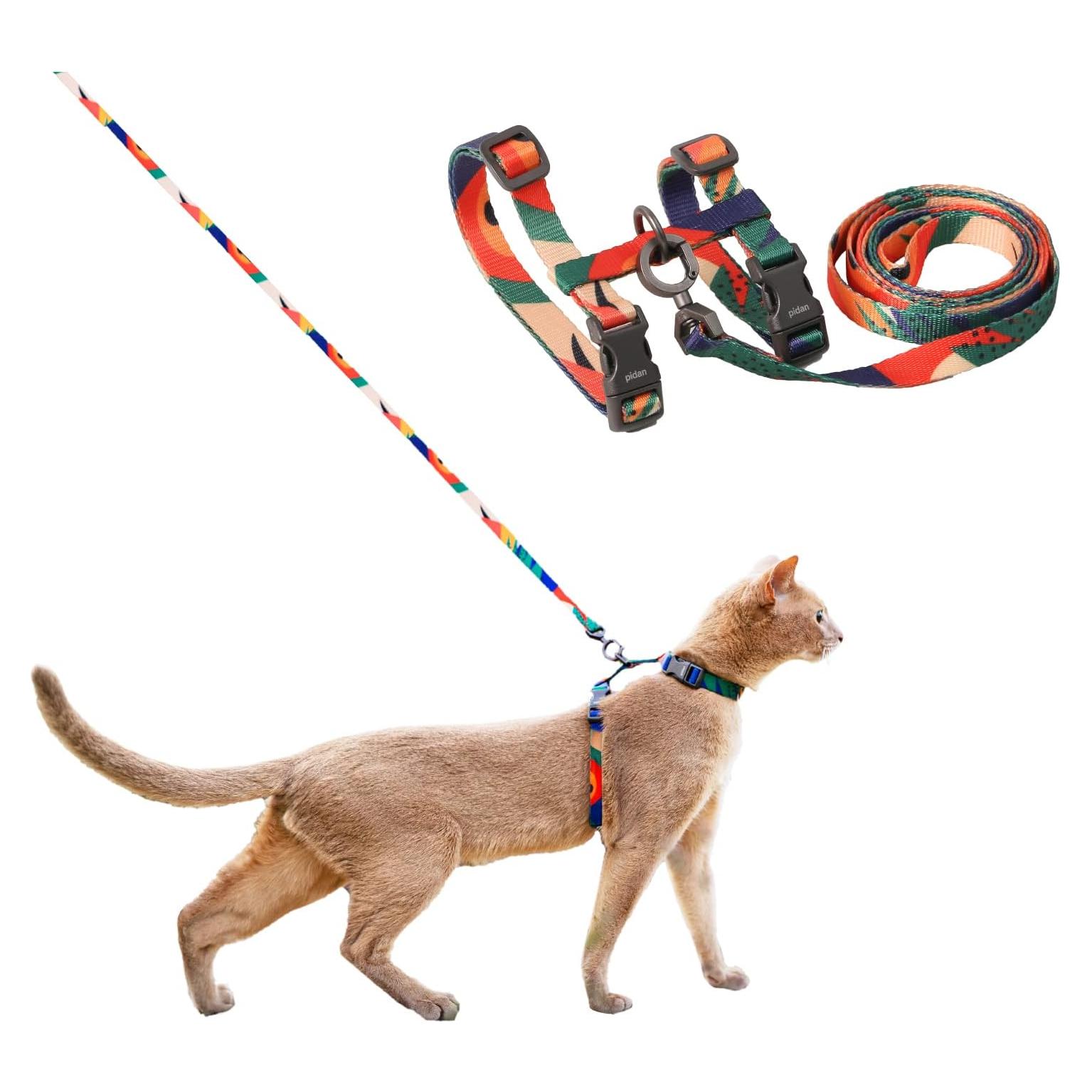 Conjunto Arnés y Correa Pidan XL para Gatos Grandes Multicolor