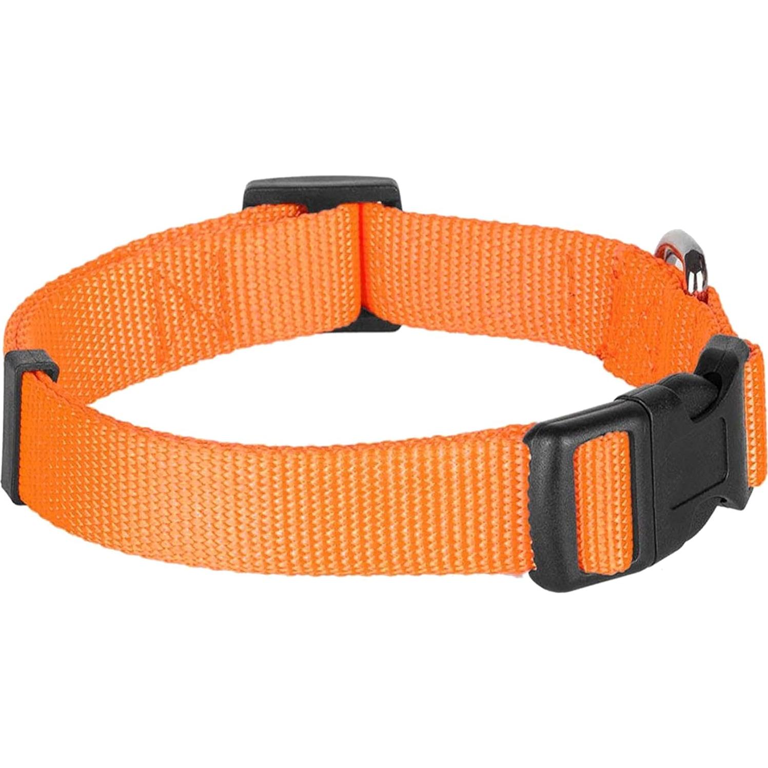Conjunto Collar y Correa Doble Mango Blueberry Pet Mediano Naranja