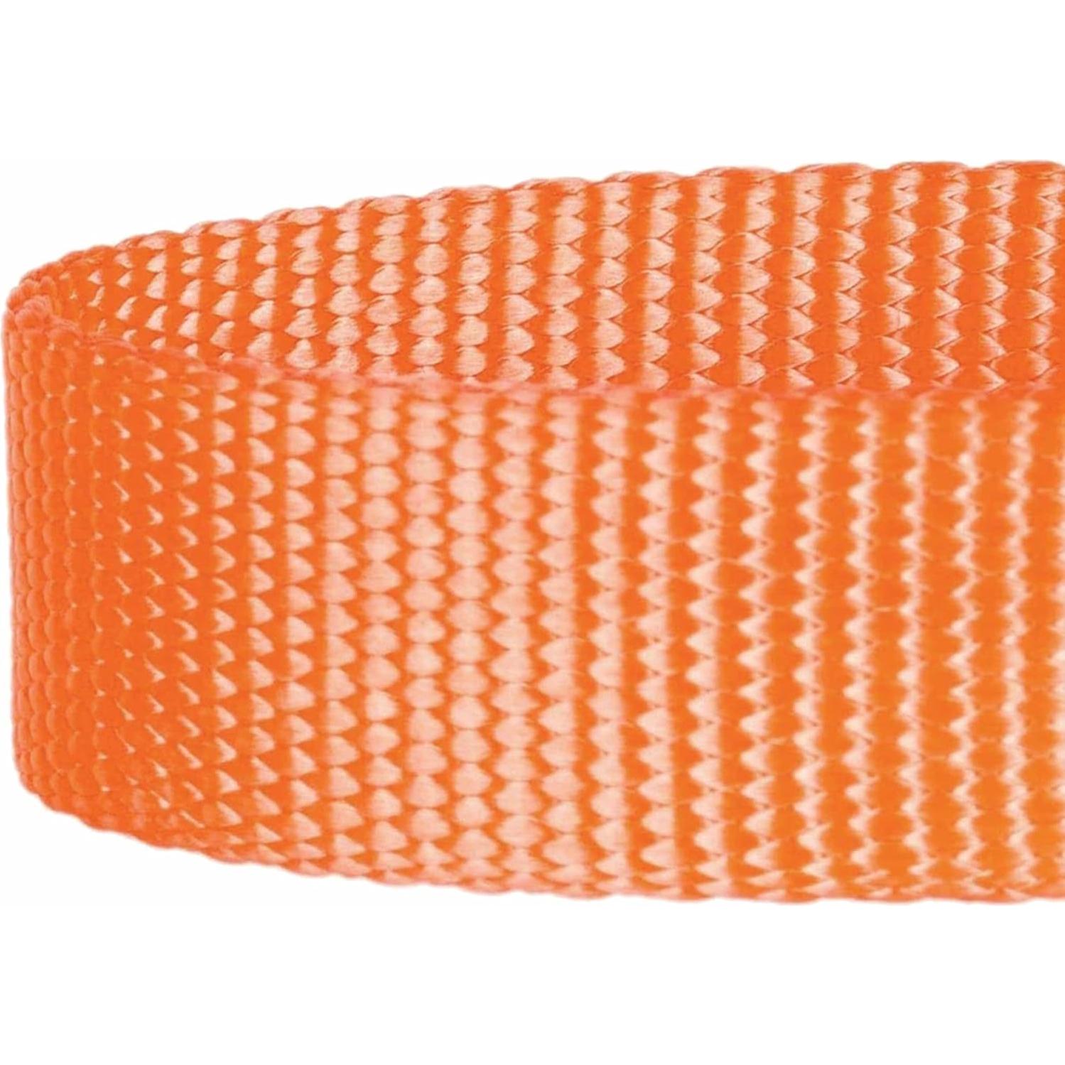 Conjunto Collar y Correa Doble Mango Blueberry Pet Mediano Naranja