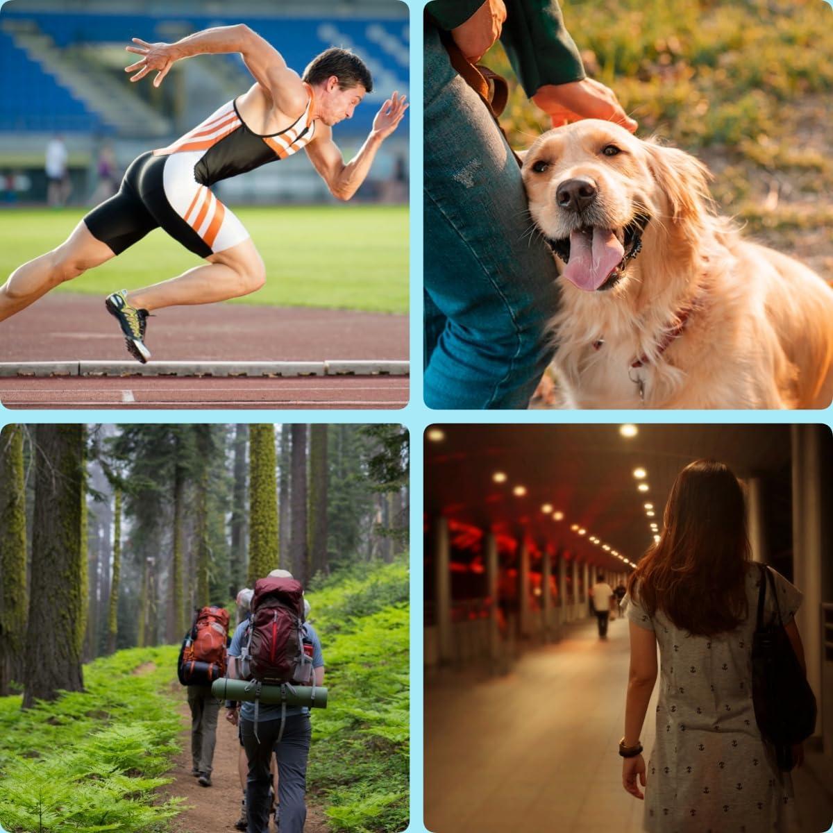 Silbato Electrónico WANJOTEC 3 Tonos Ajustables 130dB